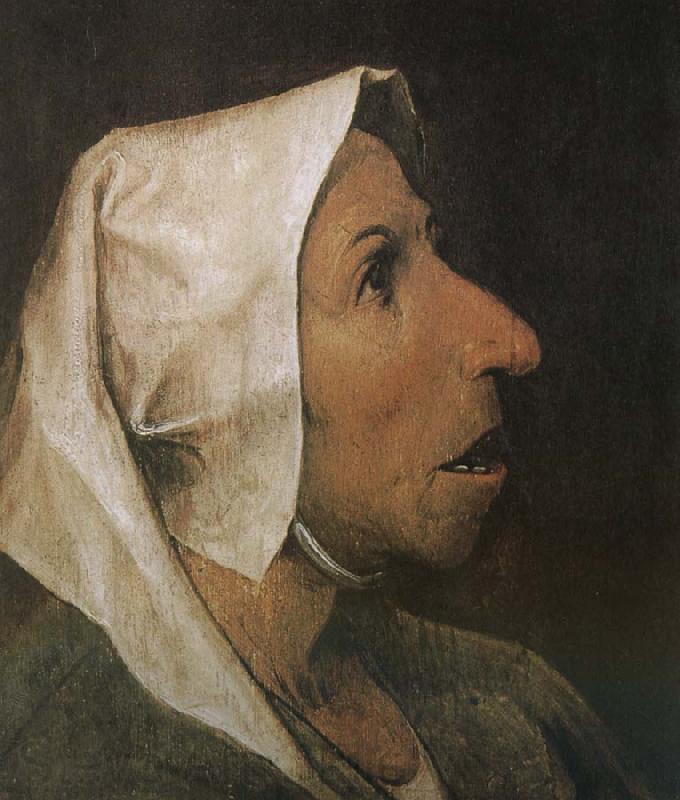 Pieter Bruegel Portrait of woman Spain oil painting art